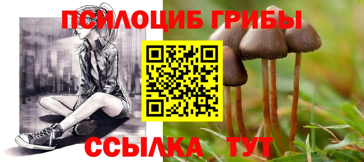 Галлюциногенные грибы Psilocybine cubensis Алатырь